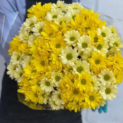 желтая кустовая хризантема - купить с доставкой в по Лобне